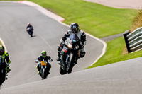 PJ-Motorsport-Photography-2020;anglesey;brands-hatch;cadwell-park;croft;donington-park;enduro-digital-images;event-digital-images;eventdigitalimages;mallory;no-limits;oulton-park;peter-wileman-photography;racing-digital-images;silverstone;snetterton;trackday-digital-images;trackday-photos;vmcc-banbury-run;welsh-2-day-enduro